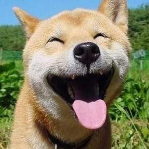 亚洲欧美日韩精品在线
